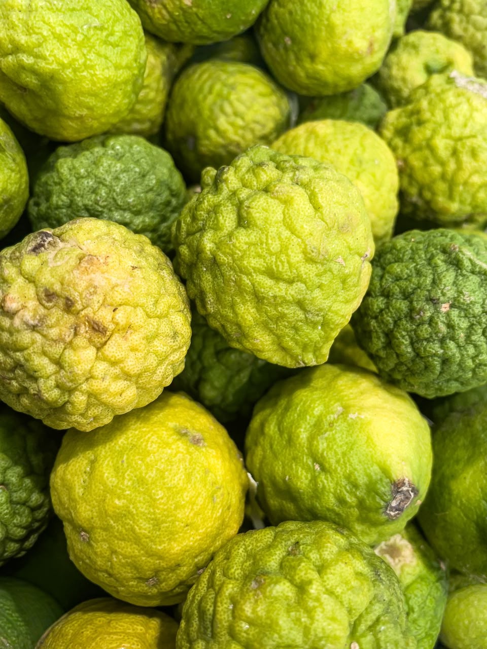 Kaffir Limes
